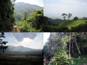 Weltreise Blog diesmal aus der Berglandschaft um Chiang Mai in Thailand