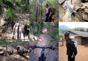 Downhill Mountainbiking in Chiang Mai Thailand