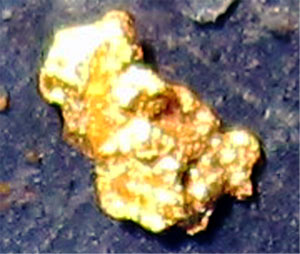 Goldfinden in Kalgoorlie - Gold Nugget 2011