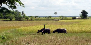 Reisebericht aus Kambodscha in unseren Weltreise Blog