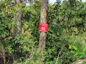 Minenfeld am Straßenrand im Norden Kambodschas