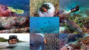 Unterwasser Aufnahmen vom Tauchen am Komodo und Kanawa Insel