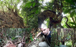 Durch den Regenwald auf Koh Chang trekking Weltreise Blog