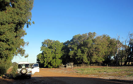 Kostenlos übernachten auf einer Farm in Australien