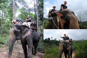 Mit Elefanten in Thailand schwimmen gehen