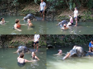 Schwimmen mit Elefanten in Thailand auf der Insel Koh Chang