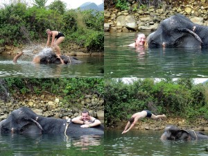 Auf der Insel Ko Chang mit den Elefanten schwimmen